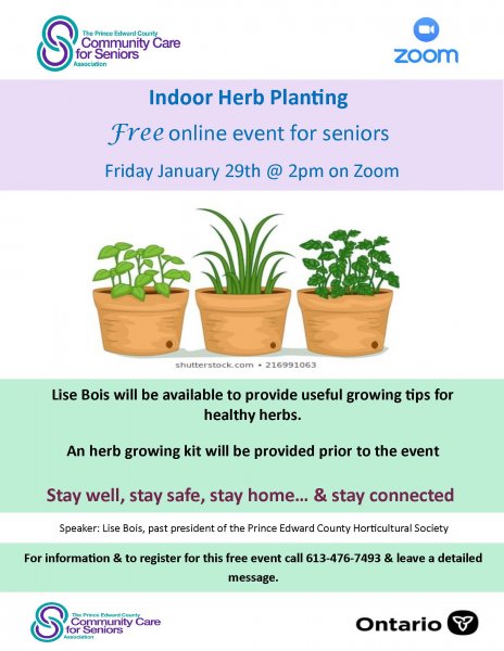 Indoor Herb Planting
