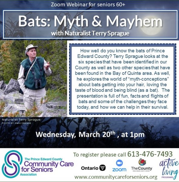 Terry Sprague Webinar - Bats: Myths & Mayhem