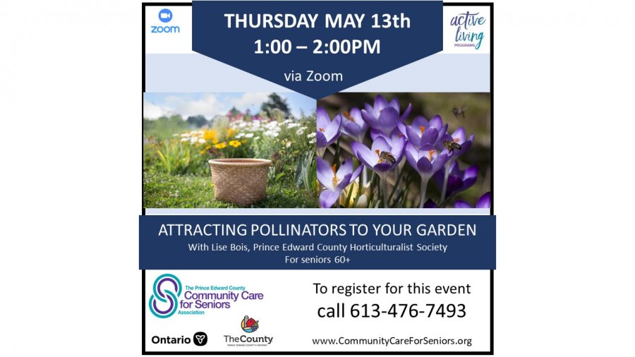 Attracting Pollinators to Your Garden with Lise Bois, Prince Edward Horticultural Society