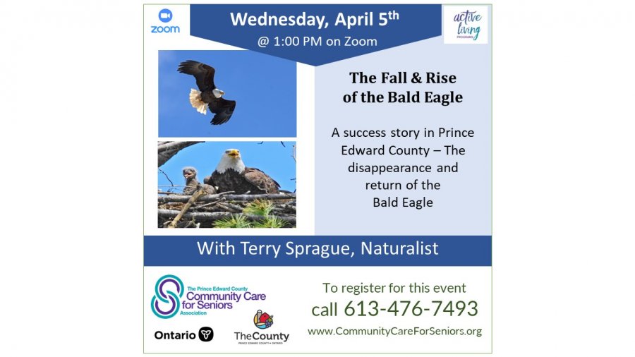 “The Fall and Rise of the Bald Eagle” with Terry Sprague